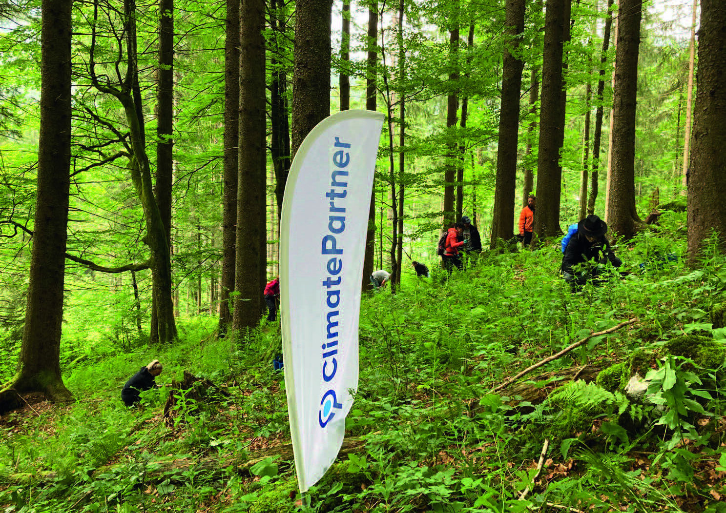 Mehrere Menschen Arbeiten in einem Stück Wald, im Vordergrund ist ein Banner mit der Aufschrift ClimatePartner zu sehen.